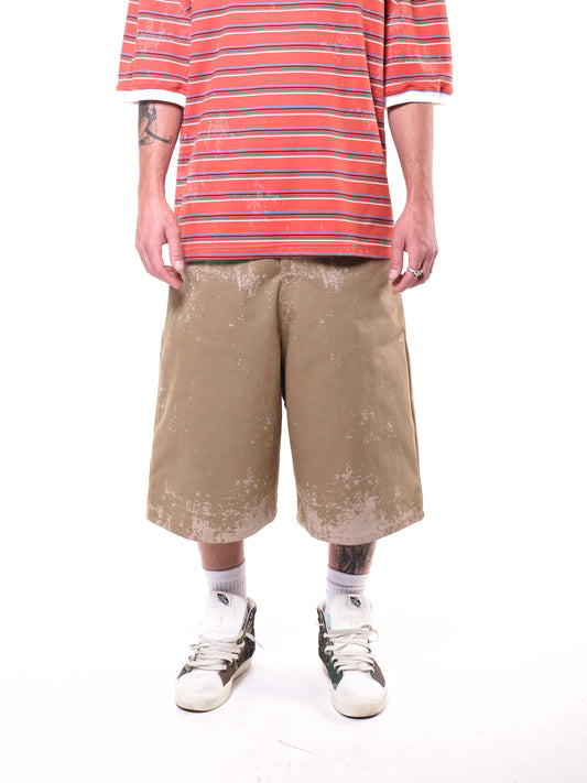 Dogtown Shorts